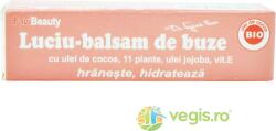 FAVISAN Balsam de Buze cu Ulei de Cocos si Vitamina E Favibeauty 4.2g