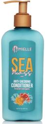 Mielle Organics Balsam anticadere Mielle Sea Moss Anti-Shedding Conditioner 236.6ml (5890)