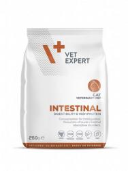 VetExpert VET EXPERT Veterinary Diet Cat Intestinal 250 g