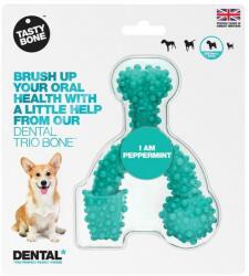 Tasty Bone - Os dentar trio din nylon pentru câini de talie extra mică - Peppermint (820099N)