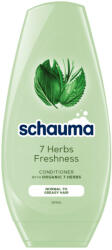 Schauma hajöblítő balzsam 7 gyógynövénnyel, zsíros hajra (250 ml) - beauty