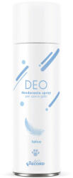 Record DEO Spray - púder illatú dezodor 300ml (B-70582)