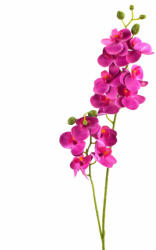  2 ágú orchidea ciklámen (50-1586CIKL)