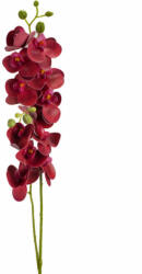  2 ágú orchidea bordó (50-1586BOR)
