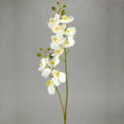  2 ágú orchidea fehér (50-1586FEH)