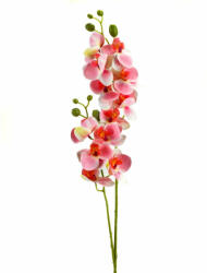 2 ágú orchidea rózsaszín-fehér (50-1586RSZFEH)