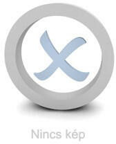 Family Collection tepsi zománcos gn 1/1 m: 40mm