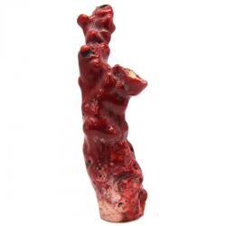 Coral Rosu Natural - 162 x 51 x 37 mm- (XXL) - Unicat