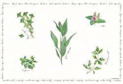 Easy Life Design Műanyag tányéralátét - Herbarium