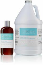 iGroom All in One Shampoo and Conditioner 3, 79 l