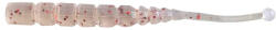 MUSTAD Grub Mustad Aji Ball Tail 5 Cm Uv Clear Red Glitter 12 Buc Plic (f1.m.ajw.btm.2.010)