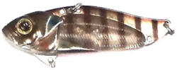 STRIKE PRO Cicada Strike Pro Astro Vibe, 4.5 Cm, 9.6 G, Culoare 986e (sp.pjg005a.986e)