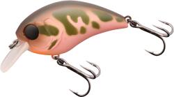 JACKALL Vobler Jackall Mushbob 50sr 5cm 9g Kawashima Bocho Killer (ja.807193060) - outdoor