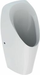 Geberit Tamina pisoar 116.141. 00.1 (116141001)