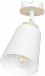 Emibig Atlas lampă de tavan 1x50 W alb 724/1