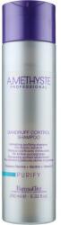 FarmaVita Șampon împotriva mătreții - Farmavita Amethyste Purify Dandruff Control Shampoo 250 ml