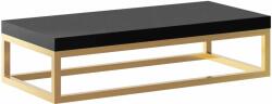 Baltica Design Bente consolă 75x35x17 cm negru-auriu 5904107906645 (5904107906645)