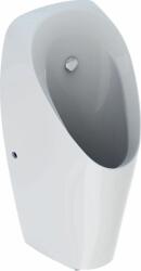 Geberit Tamina pisoar 116.142. 00.1 (116142001)