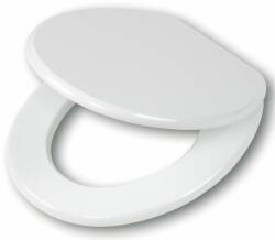 Tiger Mississippi capac wc SoftClose alb 251660646 (251660646)