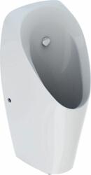 Geberit Tamina pisoar 116.143. 00.1 (116143001)