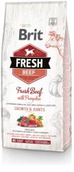 Brit Fresh Beef with Pumpkin Puppy 12 kg