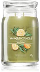 Yankee Candle Sage & Citrus lumânare parfumată Signature 567 g
