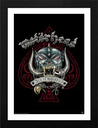 GB eye Poster cu ramă GB eye Music: Motorhead - Pig Tattoo (GBYDCO374)