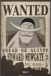 GB eye Mini poster GB eye Animation: One Piece - Wanted Whitebeard (ABYDCO370)