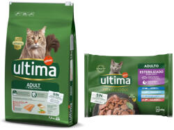 Affinity 7, 5kg Ulima Cat Adult lazac & rizs száraz macskatáp+48x85g Ultima Cat Sterlised halválogatás nedves macskatáp árengedménnyel