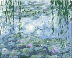 Zuty Pictură pe numere Nuferi (C. Monet) (2262211) Carte de colorat