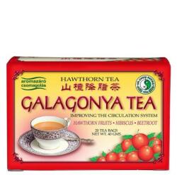 Dr. Chen Patika Hawthorn Galagonya tea filteres 20x