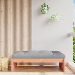 vidaXL Taburet de grădină, 120x80 cm, lemn masiv douglas (825770) - maryon