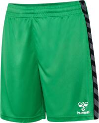 Hummel Sorturi Hummel HMLAUTHENTIC PL SHORTS KIDS 219971-6235 Marime 164