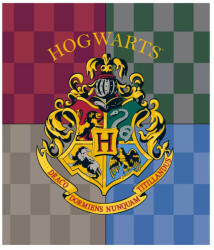 Harry Potter Hogwarts coral fleece polár takaró 120x150cm (EMM5248359) - oliviashop