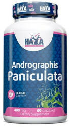 Haya Labs - Andrographis Paniculata 400mg / 60 Caps - flashprotein