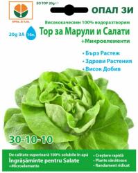 OPAL Ingrasamant pentru salata OPAL, 20 grame (HCTG02072)