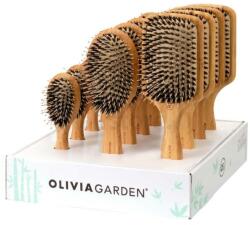Olivia Garden Set perii de păr, 12 buc. - Olivia Garden Bamboo Touch Combo Display 12 buc
