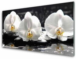  tulup. hu Akrilkép Fehér orchidea virág 140x70 cm 4 fogas