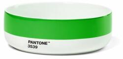 Pantone Bol pentru supă PANTONE - Verde 3539 (101623539) Set pentru masa bebelusi