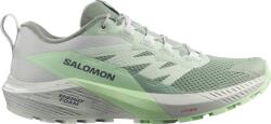 Salomon Pantofi trail Salomon SENSE RIDE 5 W l47314100 Marime 40, 7 EU (l47314100)