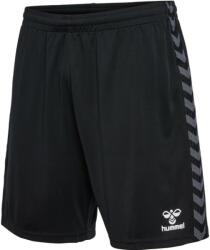 Hummel Sorturi Hummel HMLAUTHENTIC PL SHORTS 219970-2001 Marime S - weplaybasketball