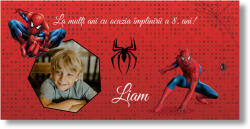 Personal Banner pentru ziua de naștere cu fotografie - Spiderman Dimensiunea bannerului: 130 x 260 cm