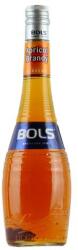 BOLS Apricot Brandy kajszibaracklikőr DRS (0, 7L / 24%) - whiskynet