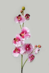 Fehér-rózsaszín mű orchidea 80cm (EWA15068)