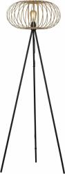 Neuhaus Lighting Group Racoon lampă de podea 2x40 W negru 11415-79