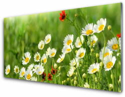 tulup. hu Fali üvegkép Daisy növény természet 100x50 cm 4 fogas