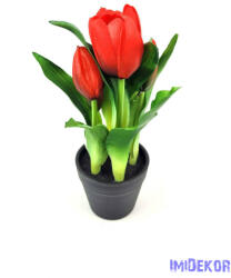 Cserepes gumi tulipán 2+3 fejes 23 cm - Piros