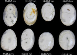 Cabochon din Cuart Solar - Oval - 39-51x27-32x6-7 mm - 1 Buc