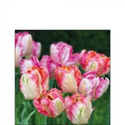 Ambiente Parrot Tulips papírszalvéta 25x25cm, 20db-os - szep-otthon