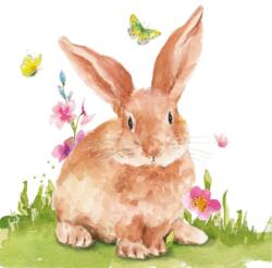 PPD Mr. Rabbit papírszalvéta 33x33cm, 20db-os
